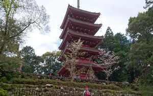 Hachi ju hachi ka sho junrei (八十八ヶ所巡礼) le pèlerinage de 88 temples à Shikoku Accès à la galerie du temple : Chikurinji (竹林寺)